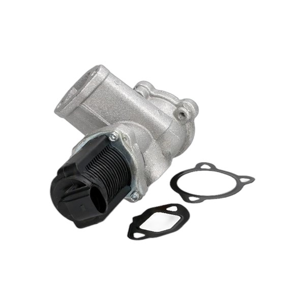 Egr-ventil 12V