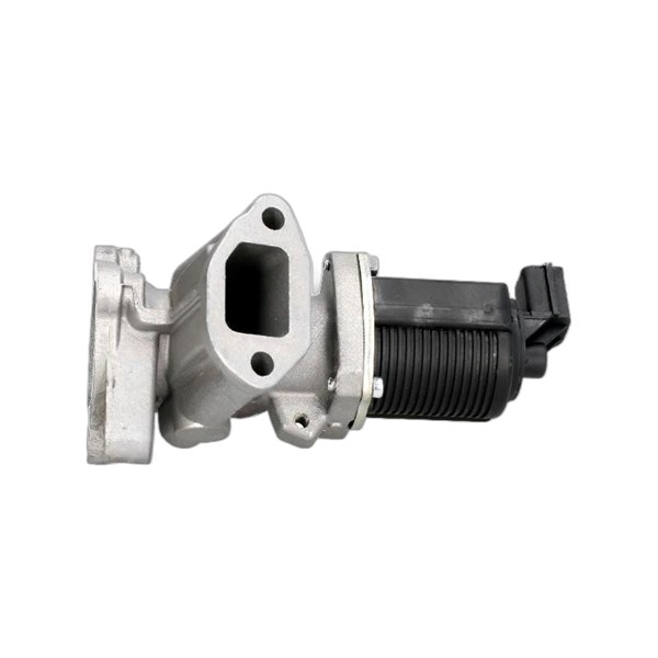 Egr-ventil 12V