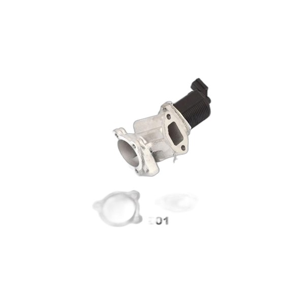 Egr-ventil 12V