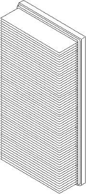 Luftfilter
