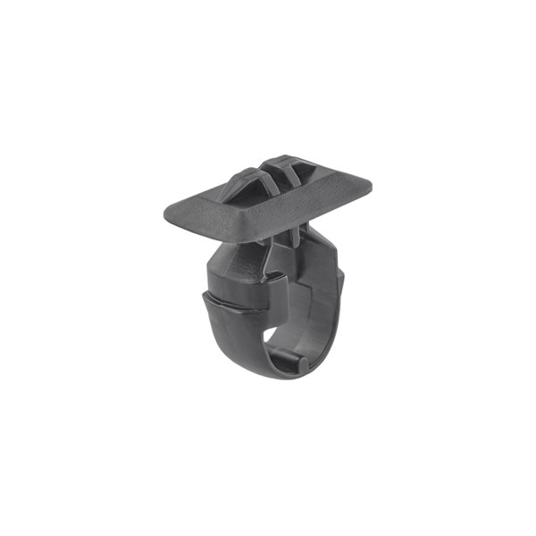 Clip, list