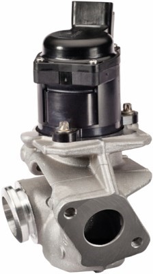 Egr-ventil Hella 6NU 010 171-111 HELLA