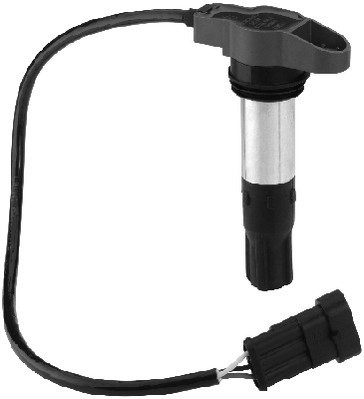 Tändspole 12V Beru ZSE130 BERU