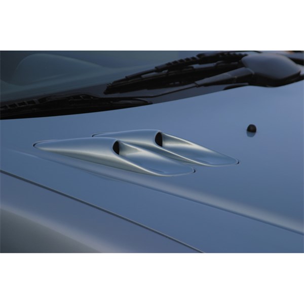 Bonnet AirIntakes Rgm GR AC62 RGM