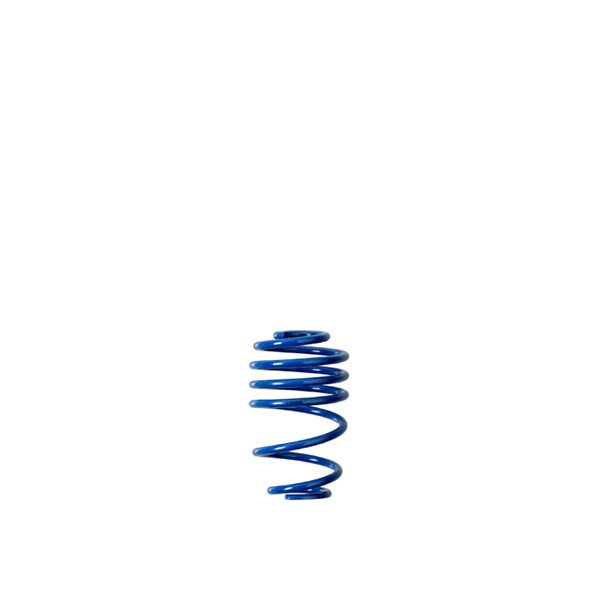 Coilovers Bonrath IA MXS536 Coilovers Bonrath IA MXS536