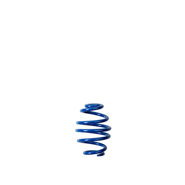 Coilovers Bonrath IA MXS678 Coilovers Bonrath IA MXS678