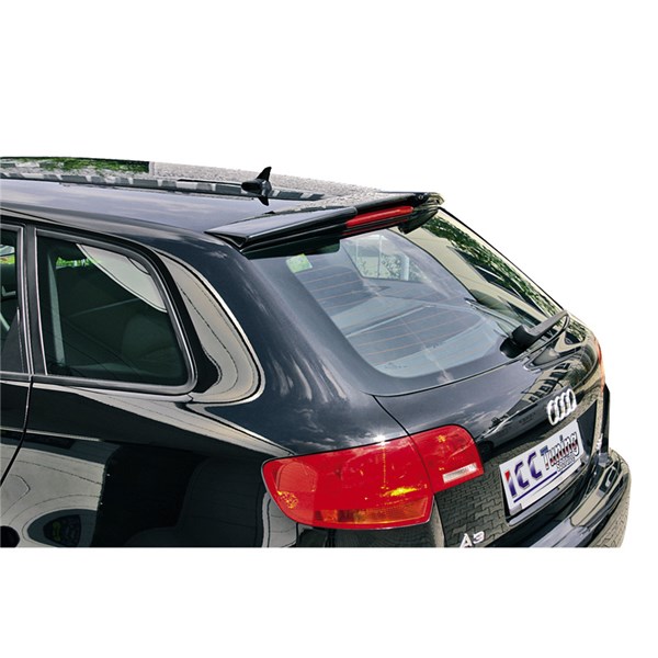 Takspoiler Icc tuning TS AU21 ICC Tuning