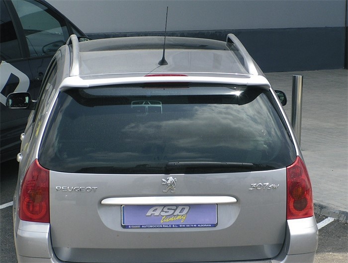Spoiler Icc tuning TS PE16 ICC Tuning Spoiler Icc tuning TS PE16 ICC Tuning