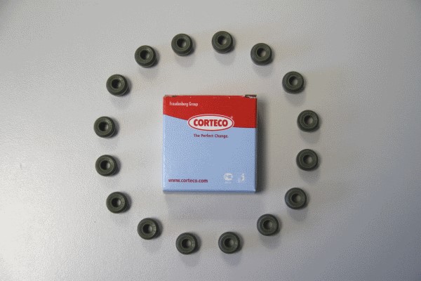 Packningssats, ventiler Corteco 19036100 CORTECO Packningssats, ventiler Corteco 19036100 CORTECO
