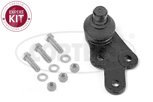 Kulled / Spindelled, framaxel höger, Nedre Corteco 49396004 CORTECO