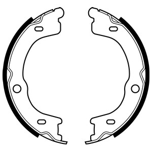 Bromsbackar, sats, parkeringsbroms, Bakaxel Delphi LS2048 DELPHI