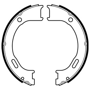 Bromsbackar, sats, parkeringsbroms, Bakaxel Delphi LS2076 DELPHI