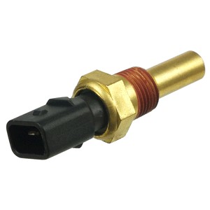 Kylvätsketemperatur-sensor Delphi TS10295 DELPHI