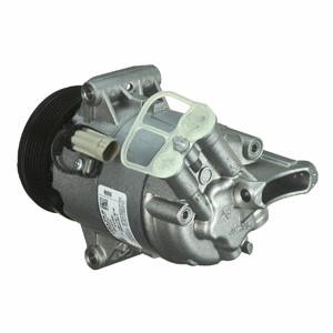 Kompressor, klimatanläggning Delphi TSP0155802 DELPHI