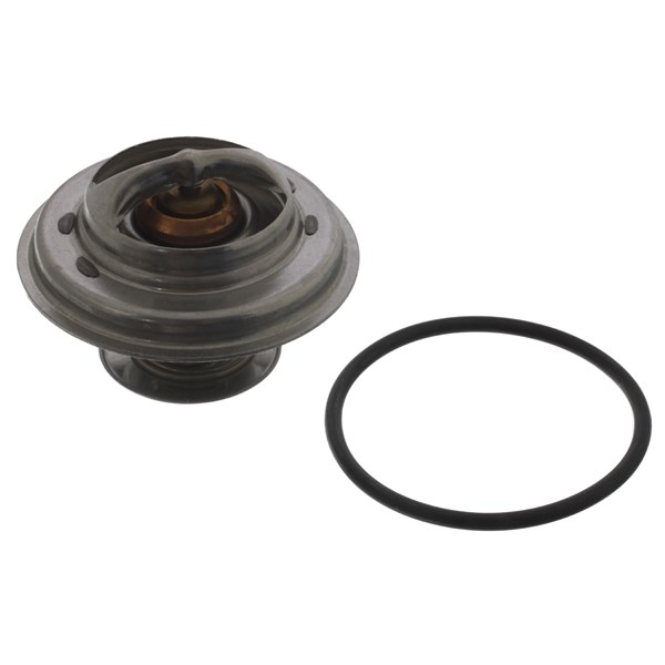 Termostat, kylvätska Febi bilstein 01598 FEBI BILSTEIN