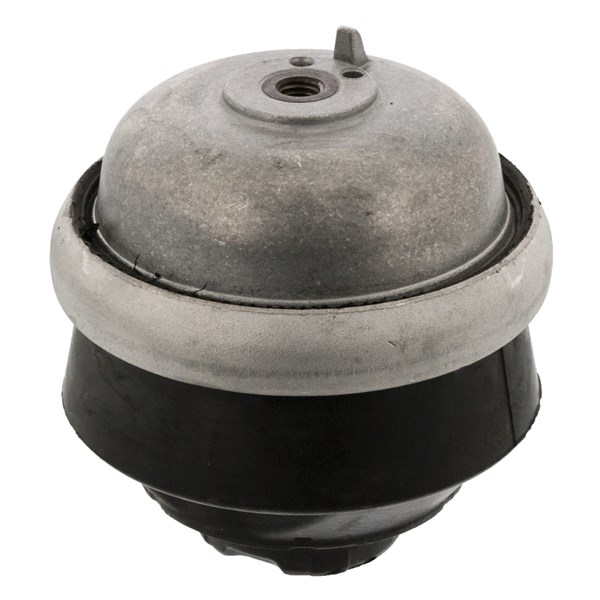 Motorkudde, Fram, Tvåsidig Febi bilstein 05829 FEBI BILSTEIN Motorkudde, Fram, Tvåsidig Febi bilstein 05829 FEBI BILSTEIN