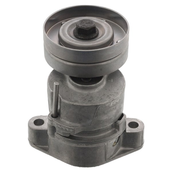 Remsträckare, Drivrem 100A Febi bilstein 14546 FEBI BILSTEIN