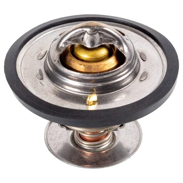 Termostat, kylvätska FEBI BILSTEIN