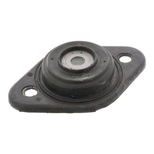 Fjäderbenslager, Bakaxel, båda sidor Febi bilstein 15393 FEBI BILSTEIN