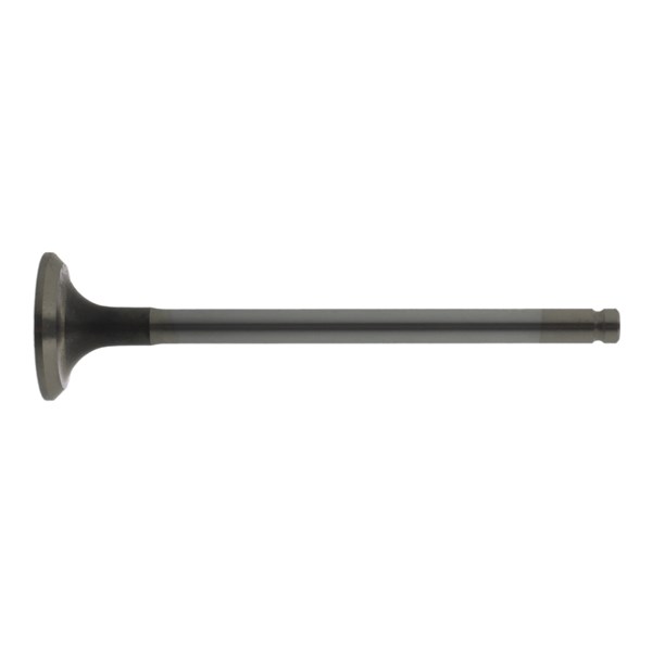 Avgasventil Febi bilstein 18667 FEBI BILSTEIN