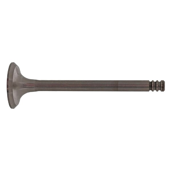 Avgasventil Febi bilstein 21028 FEBI BILSTEIN