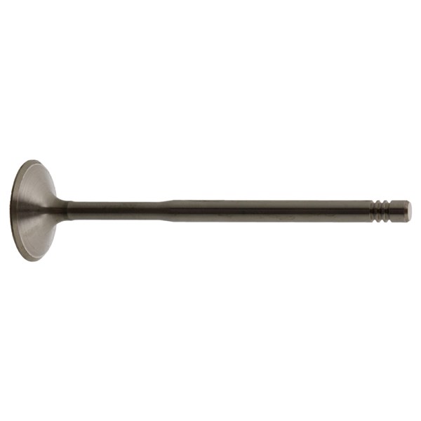 Insugsventil Febi bilstein 21032 FEBI BILSTEIN Insugsventil Febi bilstein 21032 FEBI BILSTEIN