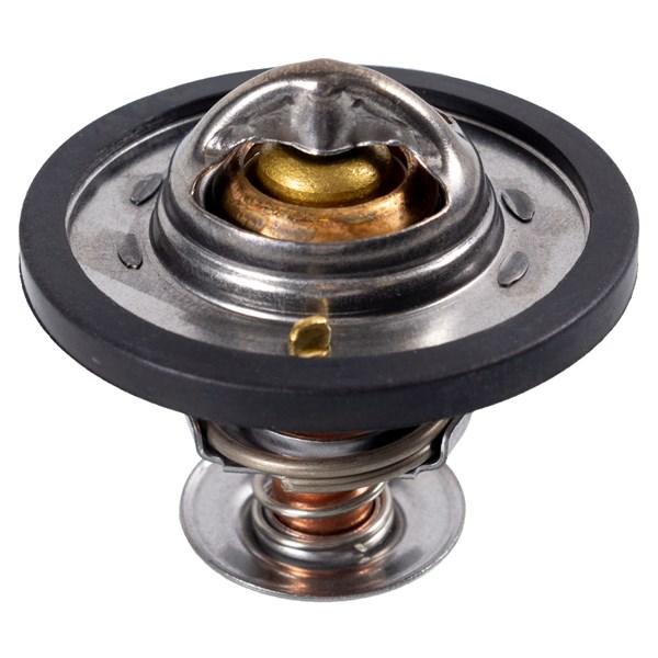 Termostat, kylvätska FEBI BILSTEIN