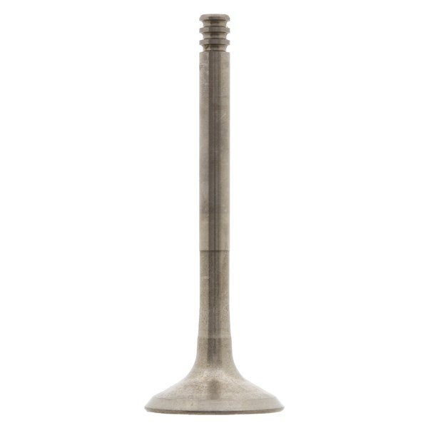 Avgasventil Febi bilstein 28547 FEBI BILSTEIN