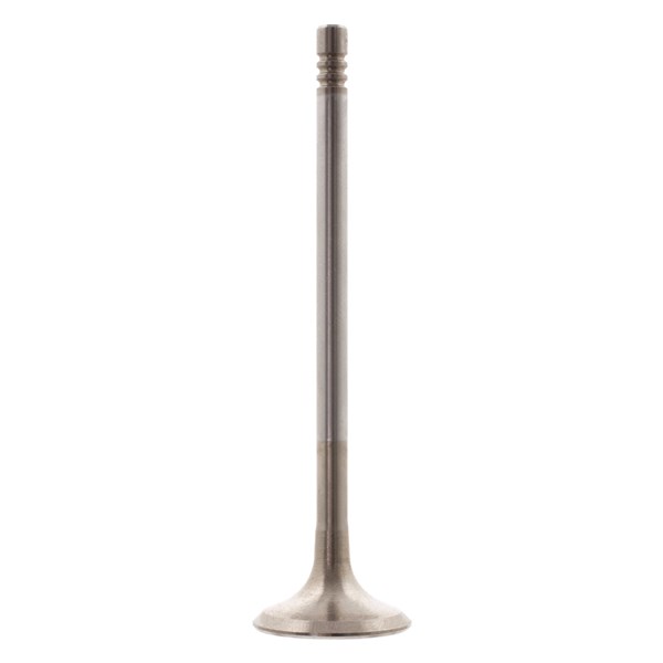 Avgasventil Febi bilstein 28633 FEBI BILSTEIN