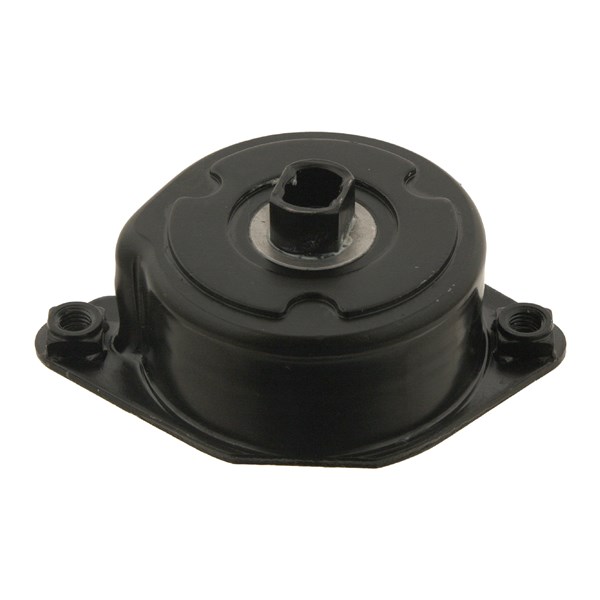 Remsträckare, Drivrem Febi bilstein 30117 FEBI BILSTEIN