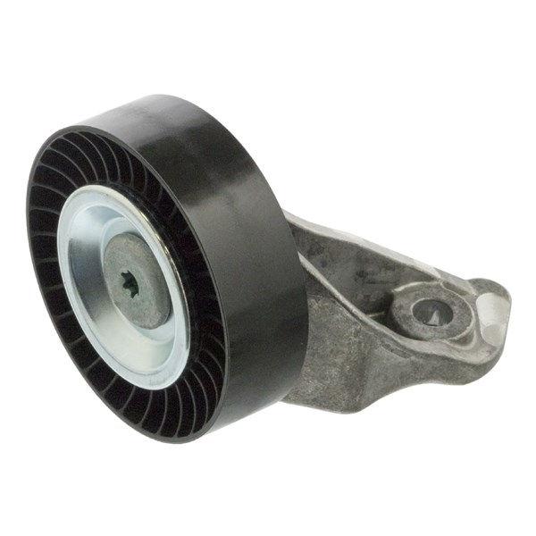 Styrrulle, drivrem, Nedre Febi bilstein 30584 FEBI BILSTEIN