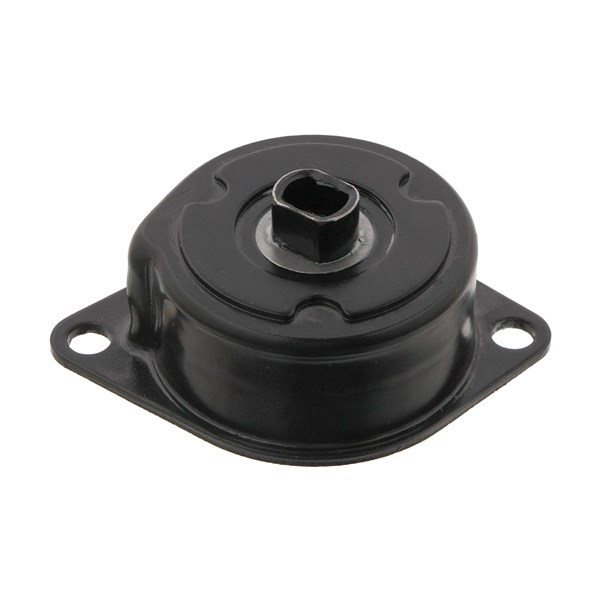 Remsträckare, Drivrem Febi bilstein 30989 FEBI BILSTEIN