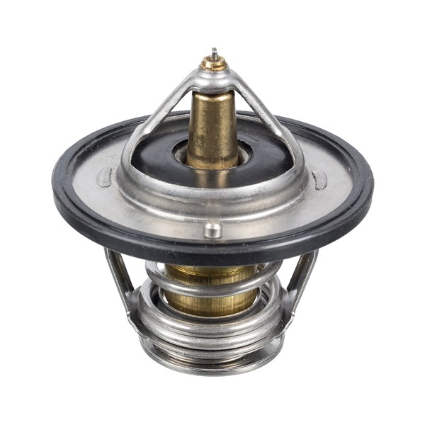 Termostat, kylvätska FEBI BILSTEIN