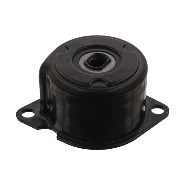 Remsträckare, Drivrem Febi bilstein 34543 FEBI BILSTEIN