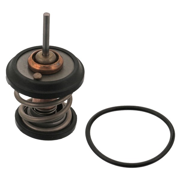 Termostat, kylvätska Febi bilstein 34782 FEBI BILSTEIN