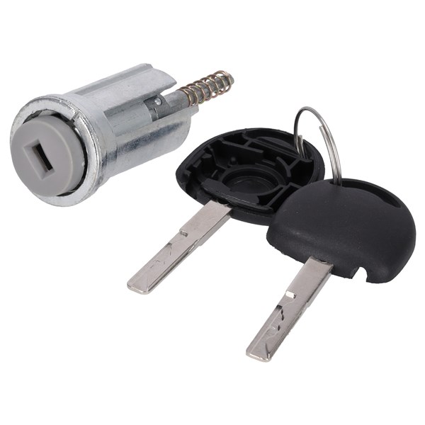 Lås Febi bilstein 47545 FEBI BILSTEIN