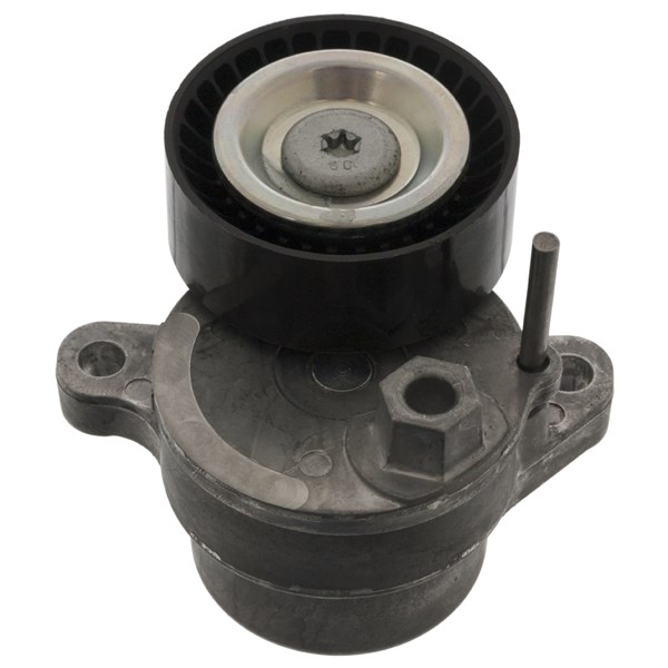 Remsträckare, Drivrem Febi bilstein 47975 FEBI BILSTEIN
