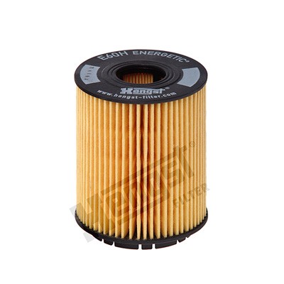 Oljefilter Hengst filter E60H D110 HENGST FILTER