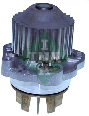 Vattenpump Ina 538 0125 10 INA