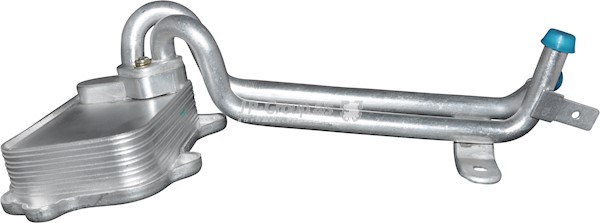 Oljekylare, motor