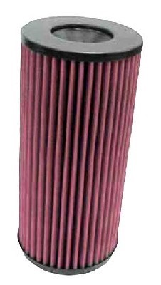 Sportluftfilter K&n filters E-2590 K&N FILTERS