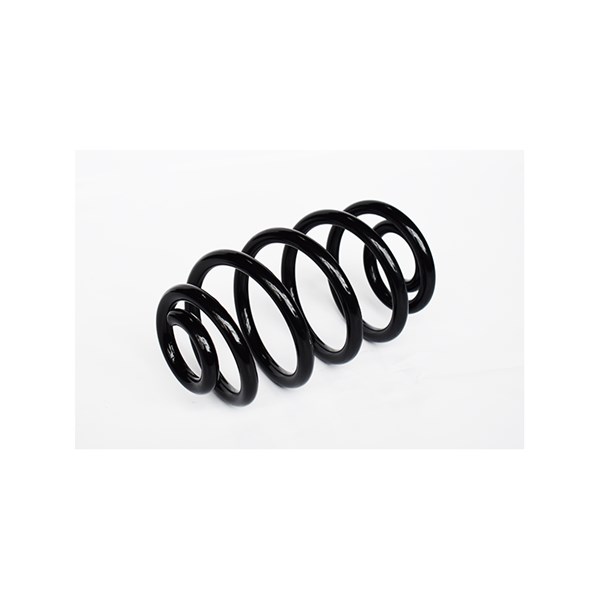 Spiralfjäder, Bakaxel Kyb K-flex RJ6222 KYB