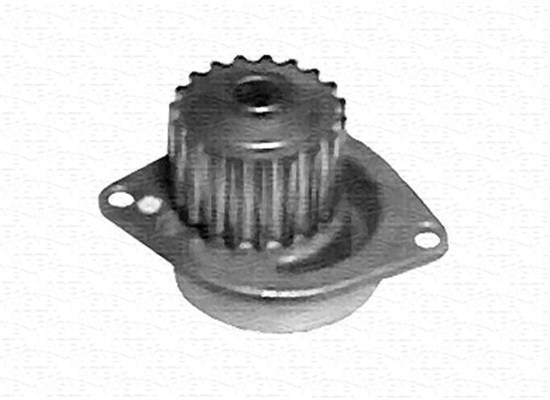 Vattenpump Magneti marelli 350981753000 MAGNETI MARELLI