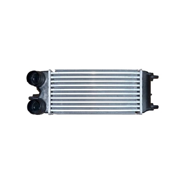 Intercooler Nrf 30274 NRF