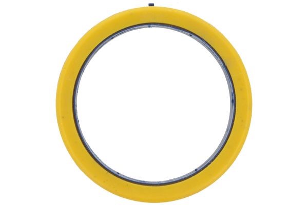 Fjäderbenslager, Framaxel Fjäderbenslager, Framaxel