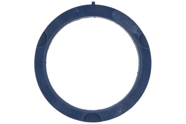 Fjäderbenslager, Framaxel Fjäderbenslager, Framaxel