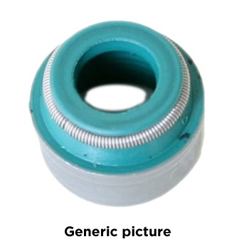 Ventilpackning VICTOR REINZ