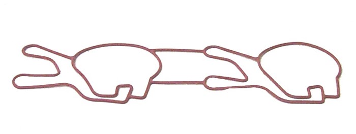 Molded Intake Port Gasket