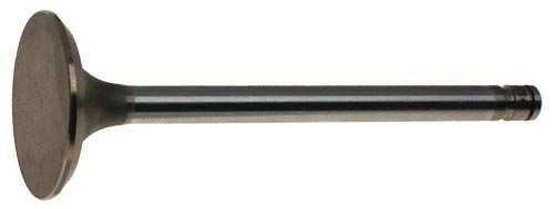 Intake Valve
