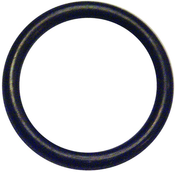 O-ring